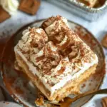 Easy Biscoff Tiramisu