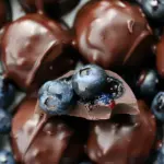 Chocolate Covered Blueberries