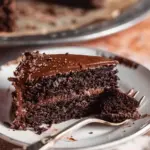 Moist Chocolate Cake